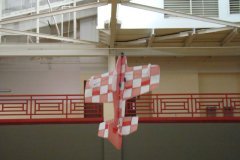 1_Dsc03355