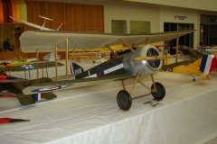thumbs_Dsc03551